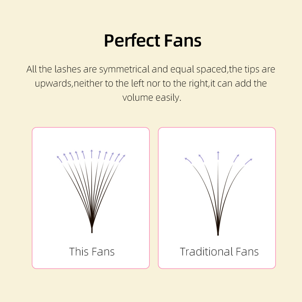 Lashprofessor XL Tray 3D 4D 5D – Eyelash Extension Russian recenzja i cena